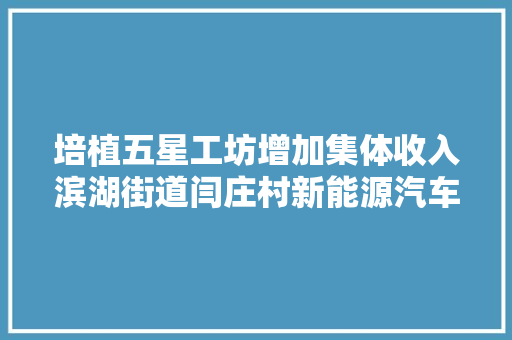 培植五星工坊增加集体收入滨湖街道闫庄村新能源汽车做事中央启动运营