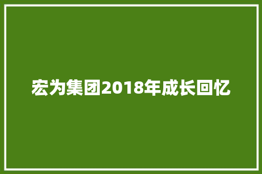 宏为集团2018年成长回忆 汽车知识