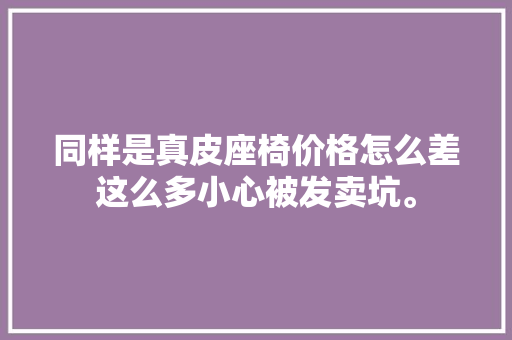 同样是真皮座椅价格怎么差这么多小心被发卖坑。