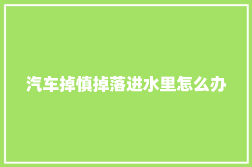 汽车掉慎掉落进水里怎么办