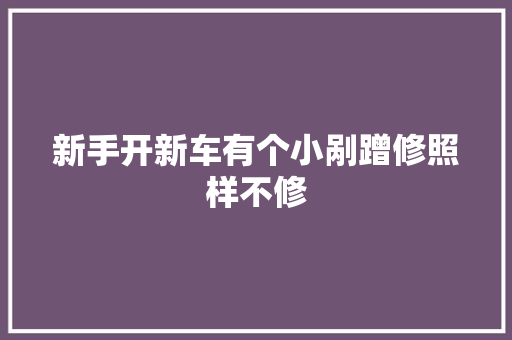 新手开新车有个小剐蹭修照样不修