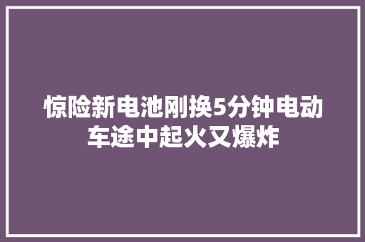 惊险新电池刚换5分钟电动车途中起火又爆炸
