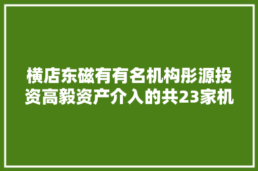 横店东磁有有名机构彤源投资高毅资产介入的共23家机构于11月23日调研我司 汽车知识