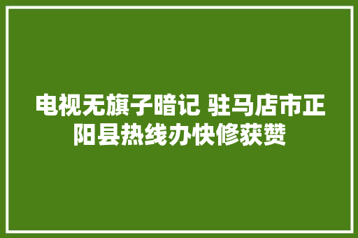 电视无旗子暗记 驻马店市正阳县热线办快修获赞