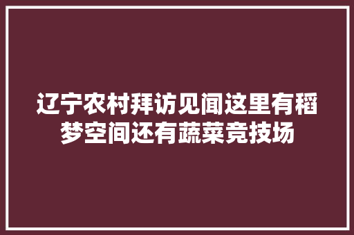 辽宁农村拜访见闻这里有稻梦空间还有蔬菜竞技场