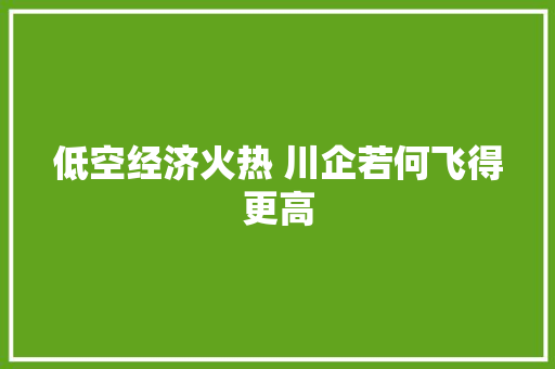 低空经济火热 川企若何飞得更高
