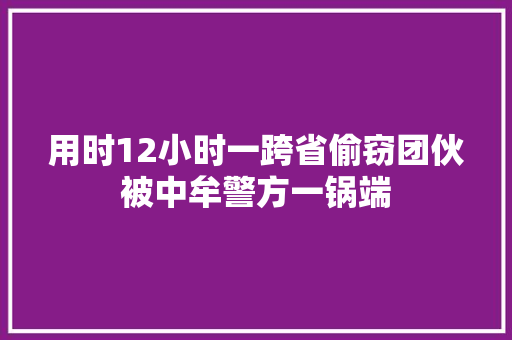 用时12小时一跨省偷窃团伙被中牟警方一锅端
