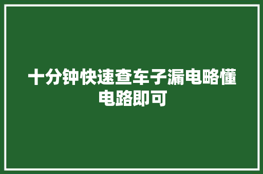 十分钟快速查车子漏电略懂电路即可