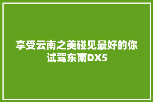 享受云南之美碰见最好的你试驾东南DX5
