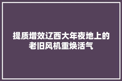 提质增效辽西大年夜地上的老旧风机重焕活气