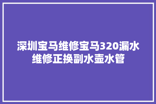 深圳宝马维修宝马320漏水维修正换副水壶水管