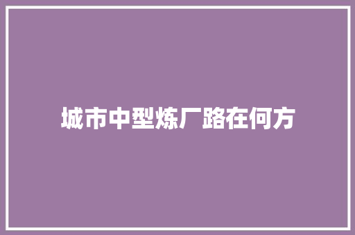 城市中型炼厂路在何方