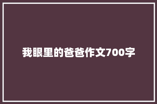 我眼里的爸爸作文700字