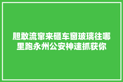 胆敢流窜来砸车窗玻璃往哪里跑永州公安神速抓获你