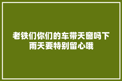 老铁们你们的车带天窗吗下雨天要特别留心哦