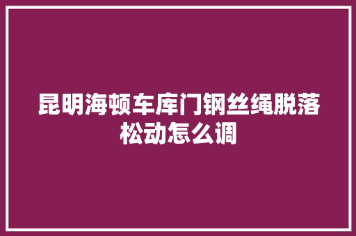昆明海顿车库门钢丝绳脱落松动怎么调