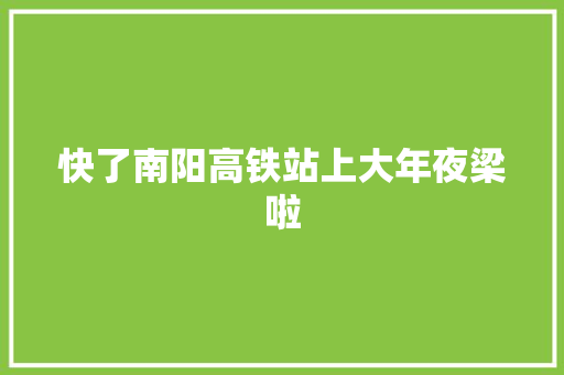 快了南阳高铁站上大年夜梁啦