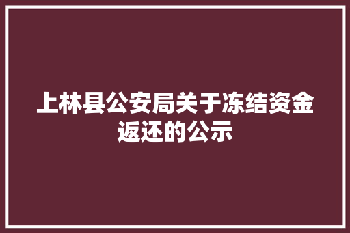 上林县公安局关于冻结资金返还的公示