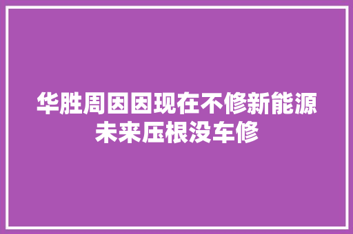 华胜周因因现在不修新能源未来压根没车修