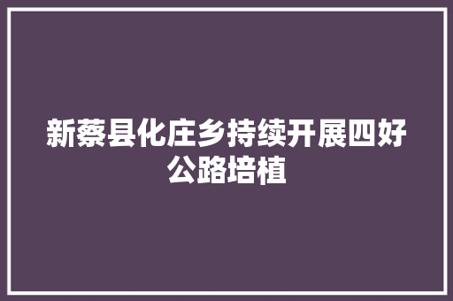 新蔡县化庄乡持续开展四好公路培植
