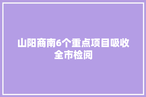 山阳商南6个重点项目吸收全市检阅