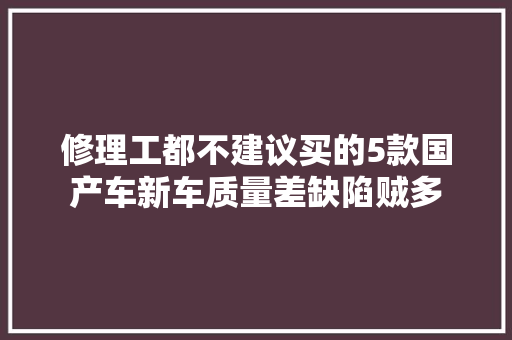 修理工都不建议买的5款国产车新车质量差缺陷贼多
