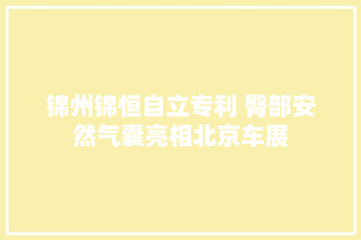锦州锦恒自立专利 臀部安然气囊亮相北京车展
