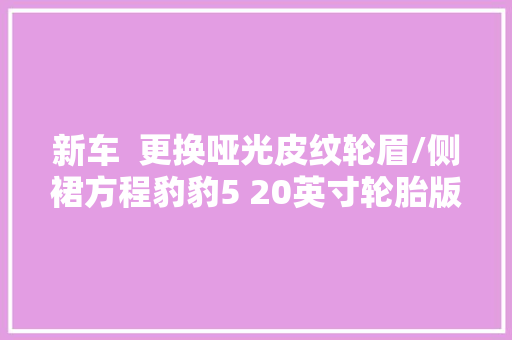 新车  更换哑光皮纹轮眉/侧裙方程豹豹5 20英寸轮胎版官方说明