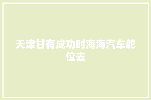天津甘有成功时海海汽车舵位去