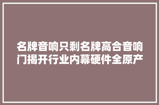 名牌音响只剩名牌高合音响门揭开行业内幕硬件全原产的不多授权贴牌的不少