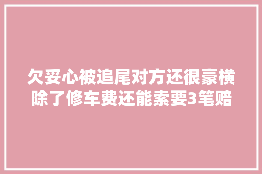 欠妥心被追尾对方还很豪横除了修车费还能索要3笔赔偿 汽车知识