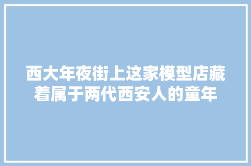 西大年夜街上这家模型店藏着属于两代西安人的童年