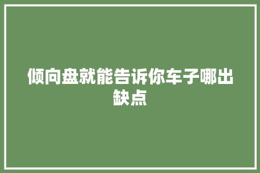 倾向盘就能告诉你车子哪出缺点