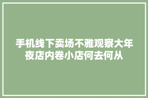 手机线下卖场不雅观察大年夜店内卷小店何去何从 汽车知识