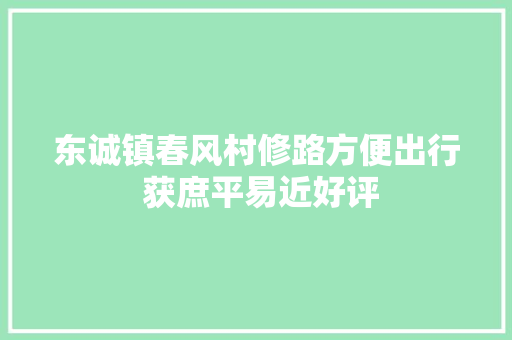 东诚镇春风村修路方便出行 获庶平易近好评