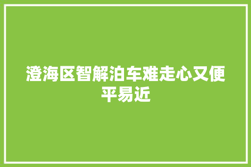 澄海区智解泊车难走心又便平易近