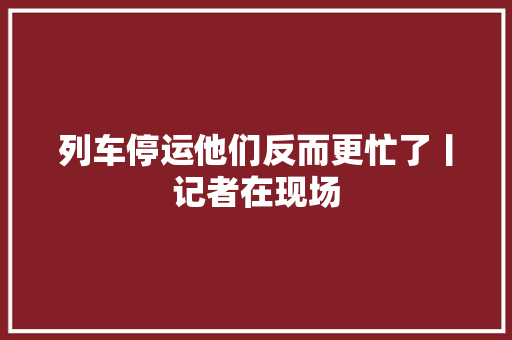 列车停运他们反而更忙了丨记者在现场
