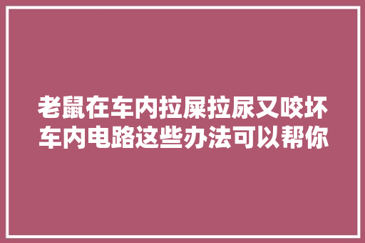 老鼠在车内拉屎拉尿又咬坏车内电路这些办法可以帮你解决鼠患