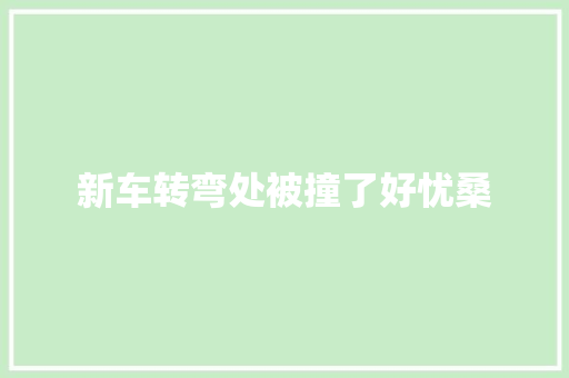 新车转弯处被撞了好忧桑