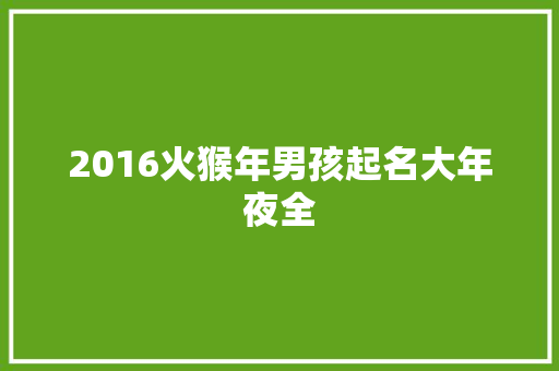 2016火猴年男孩起名大年夜全