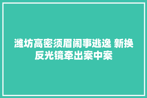 潍坊高密须眉闹事逃逸 新换反光镜牵出案中案