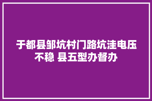 于都县邹坑村门路坑洼电压不稳 县五型办督办