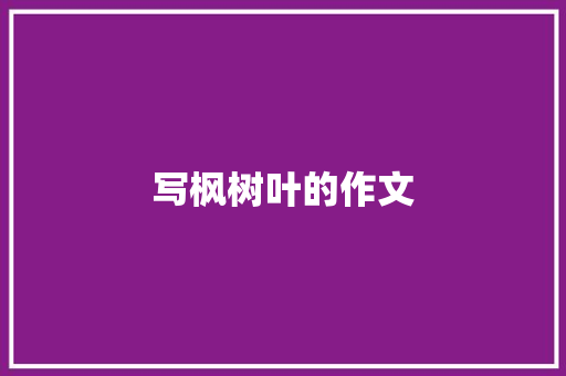 写枫树叶的作文