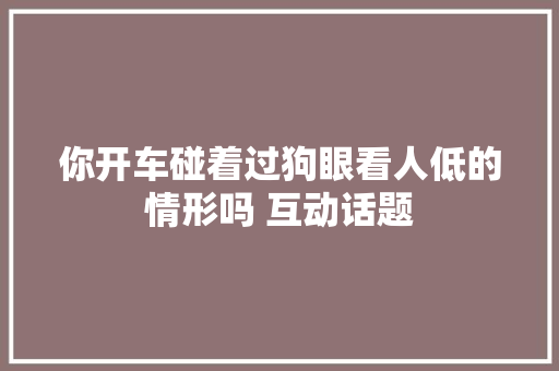你开车碰着过狗眼看人低的情形吗 互动话题