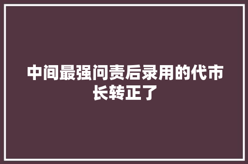 中间最强问责后录用的代市长转正了