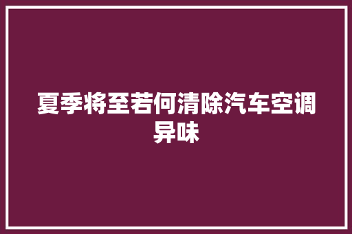 夏季将至若何清除汽车空调异味