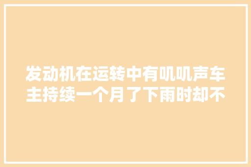 发动机在运转中有叽叽声车主持续一个月了下雨时却不会响