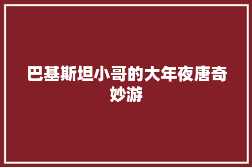 巴基斯坦小哥的大年夜唐奇妙游