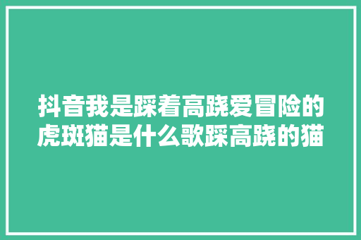 抖音我是踩着高跷爱冒险的虎斑猫是什么歌踩高跷的猫完整版歌词
