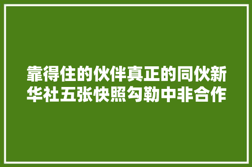 靠得住的伙伴真正的同伙新华社五张快照勾勒中非合作新图景